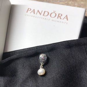 Pandora Charm
